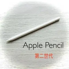 【過放電ジャンク品】Apple Pencil (第2世代) ホワイト