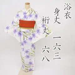 ▲605mn98▲洗える夏帯 絽 朝顔 花 水彩 カジュアル 名古屋帯▲美品 △605mn98△洗える夏帯 絽 朝顔 花 水彩 カジュアル 名古屋帯△美品