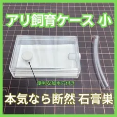 Item thumbnail for item faed652e-0429-425d-b805-8aa2511bb363