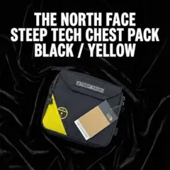 Item thumbnail for item 93fa2d22-169c-47bb-9701-67ed30c0dfb2