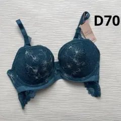 トリンプ　ドリーミーポインセチア AMOSTYLEホープブラ　D70のサムネイル