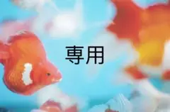 たかし2様