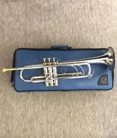 Item thumbnail for item 600ecf1f-31c5-4f55-a9a4-d622d3556343