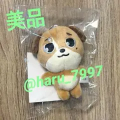 2026年最新】DAY6 ぬいぐるみの人気アイテム - メルカリ