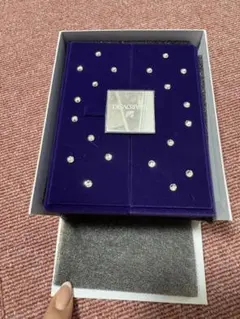 非売品 Swarovski アクセサリーケース