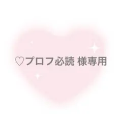 2026年最新】プロフ必読様の人気アイテム - メルカリ