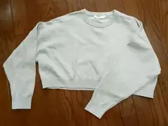 AMERICAN HOLIC　長袖トップス M　ショート丈