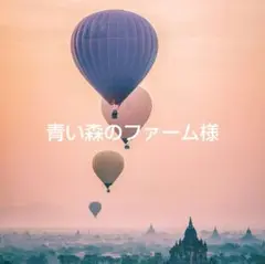 青い森のファーム様 リクエスト 4点 まとめ商品