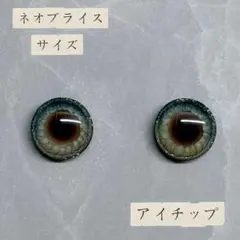 ネオブライス用 立体アイチップ ① - メルカリ
