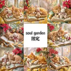soul garden 251101l