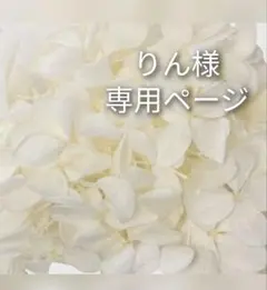 ♡りん様専用ページ♡ドライフラワー三日月リースwhite&bulegreen♡