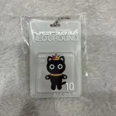 威神V WayV テン　NCT NEO GROUND TEN キーホルダー