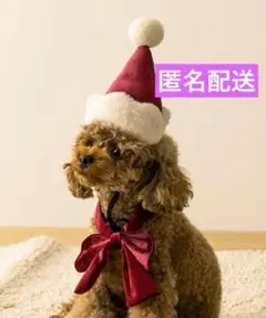 はつめ♡様 リクエスト 3点 まとめ商品