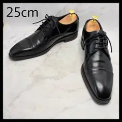 【美品】 REGAL Worthcollection ストレートチップ 25 黒のサムネイル