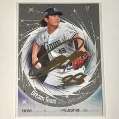 Item thumbnail for item c0d92bed-a044-4b93-9e8c-954147c8821c