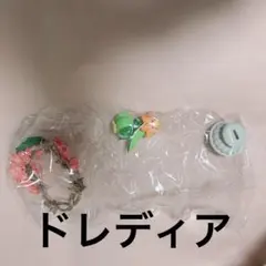 ポケモン　リーメント　ドレディア　デコラティブフレームコレクション2