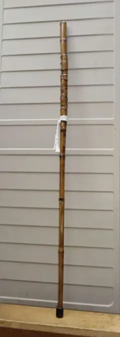 Item thumbnail for item 603b5ceb-6d51-42a8-bba4-0aed034535dd