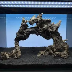 MRW-7514 赤系天然流木レイアウトセット 90cm水槽用流木 アクアリウム