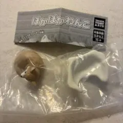 チワワ カプセルトイ