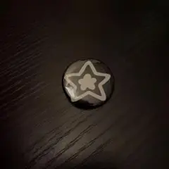 Starteam スターチーム　缶バッチ　swag