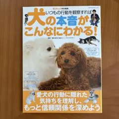 いつもの行動を観察すれば犬の本音がこんなにわかる!
