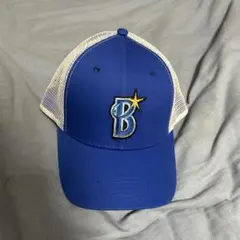 Item thumbnail for item 972e8b9e-4d9a-42a4-8b96-6df42f2fdb21