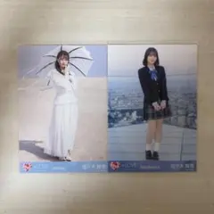 ぽるん様専用出品