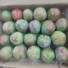 ソルダムのサムネイル