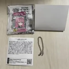 STPR 문화제 테루토군 미니 포토 키홀더 컬렉션 ①