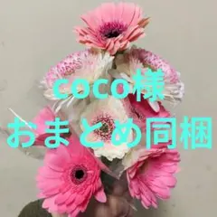 coco様 リクエスト 3点 まとめ商品