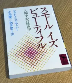 スモール イズ ビューティフル /講談社学術文庫 / 棚26