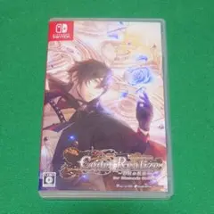 Code：Realize ～彩虹の花束～ for Nintendo Switch