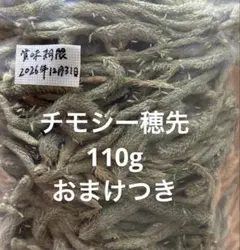 Item thumbnail for item b8329e57-109f-4ccd-ab48-cf79b704c19c