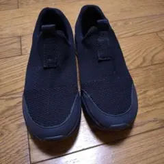 Item thumbnail for item eacc21ef-96ea-4520-9192-29a310f96812