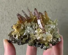 2026年最新】ジンカイトの人気アイテム - メルカリ