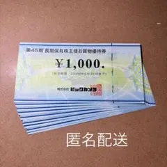 ビックカメラ 株主優待 9000円分