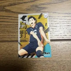 ハイキュー カード 縁下力