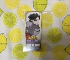 僕のヒーローアカデミア　ヒロヴィラフェス しおり 相澤