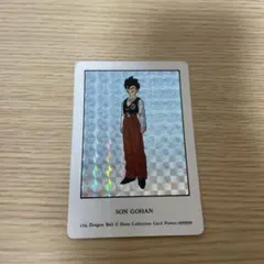 Item thumbnail for item a64e639b-06e7-49f7-824b-a190fdcabde9