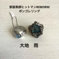 家庭教師ヒットマンREBORN ニューボンゴレリング 雨