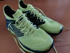 Item thumbnail for item 356ecbaa-b0e1-4d33-b934-e16e55b8449e