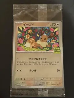 イラストコンテスト　未開封2パック　カラフルキャッチ イーブイプロモ2パック カラフルキャッチ イーブイプロモ2パックイラストコンテスト未