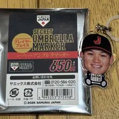 侍ジャパン 森下