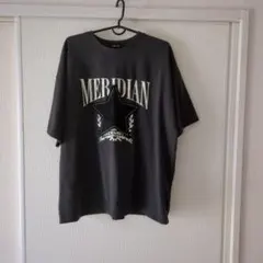 Ｔシャツ