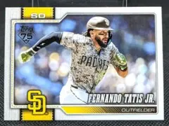 Item thumbnail for item 320a4fd7-c64f-4834-90fc-f3780079fdd8