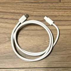 新品未使用品　Apple 純正 高速充電typeCケーブル