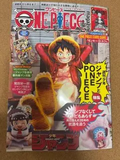 ワンピースマガジン 20号 プロモ付き モンキー・D・ルフィONEPIECE新品