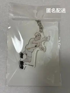 18TRIP エイトリ 糖衣 アクリルキーホルダー つままれ ぶら下がり