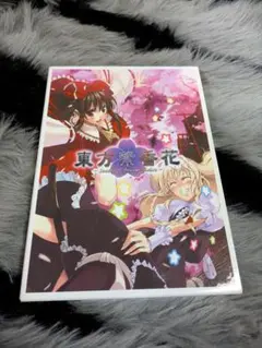 東方VISION 引退品 東方 Vision 引退 Phantom Magic Vision