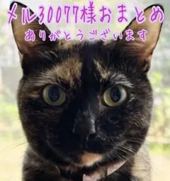 メル30077様おまとめページ